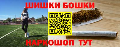 стафф Будённовск